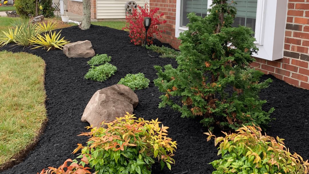 Colorful landscape design with plants and rocks, featuring black mulch and vibrant foliage.