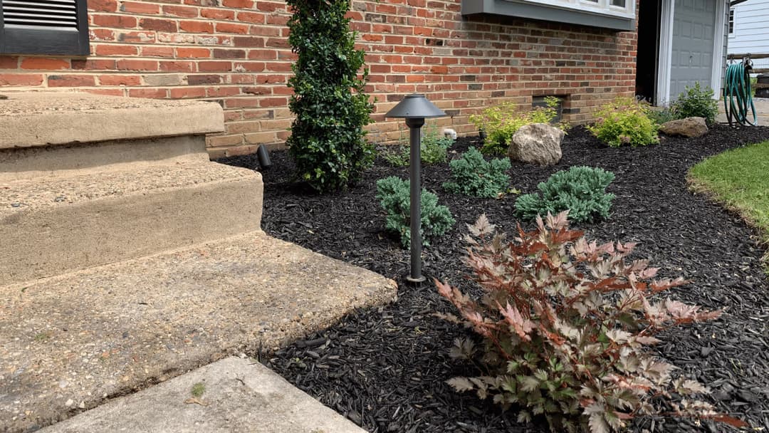 Landscaped front yard with stairs, decorative plants, mulch, and outdoor lighting.