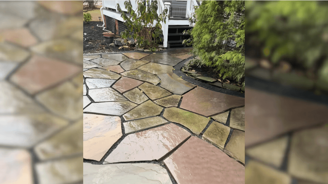 Flagstone path with wet stones and surrounding greenery in a residential garden.