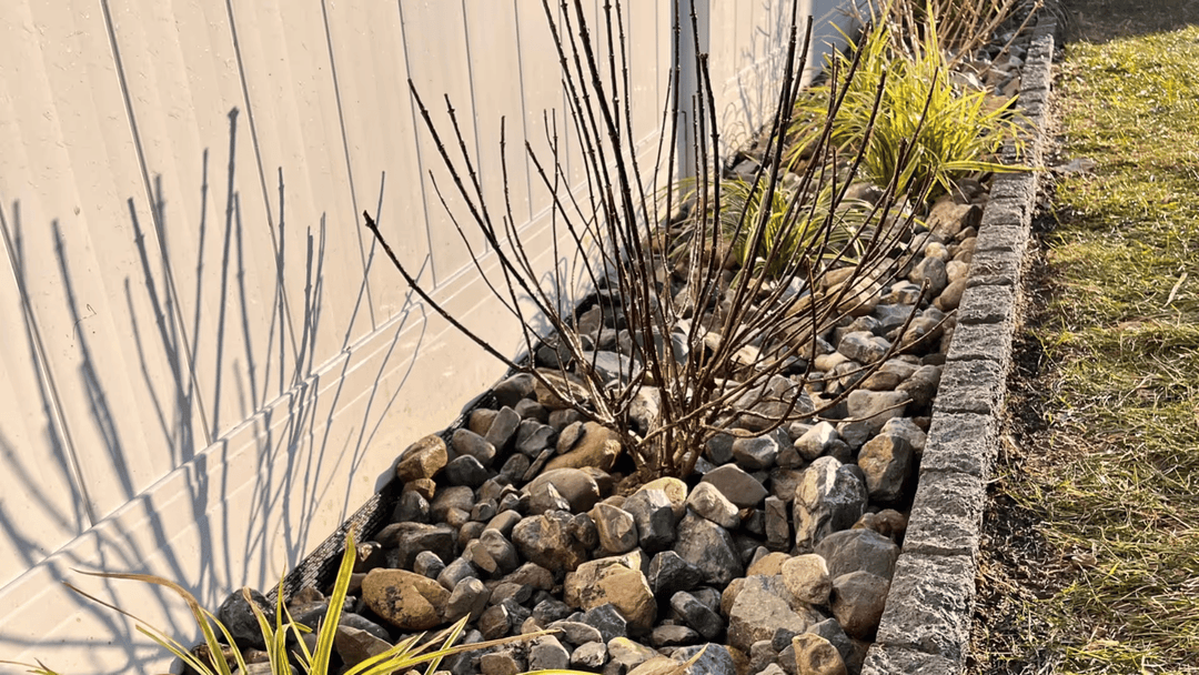 Landscaped garden bed with bare branches, rocks, and ornamental grasses against a fence.
