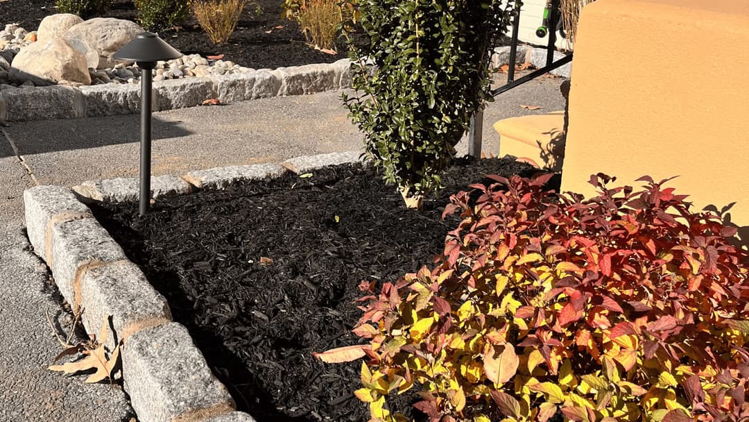 Black mulch bed with colorful autumn foliage and decorative lighting in landscaped garden.