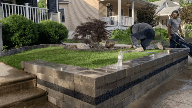 Workers laying pavers in a landscaped yard with grass and a decorative bush.