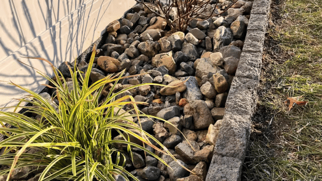 Decorative rock garden with shrubs and ornamental grass along a stone border.