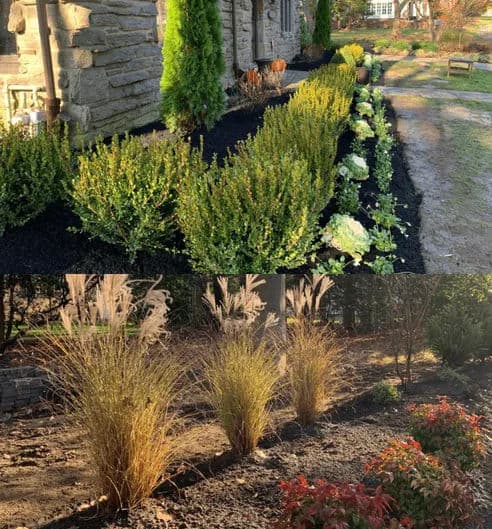 Expert Landscape Installation Tailored to Your Style