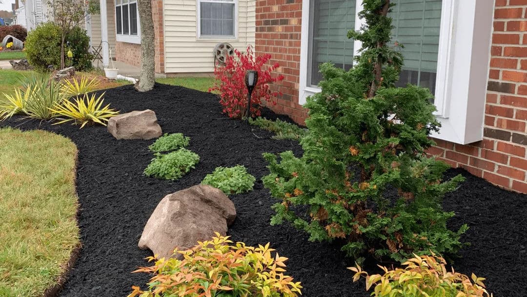 Caring for Your Landscape Year-Round