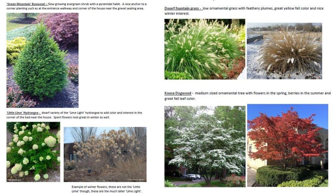 Design Document Included!