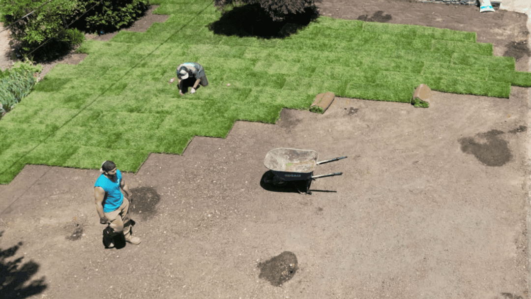 Two people laying sod on a lawn, with a wheelbarrow nearby on a sunny day.