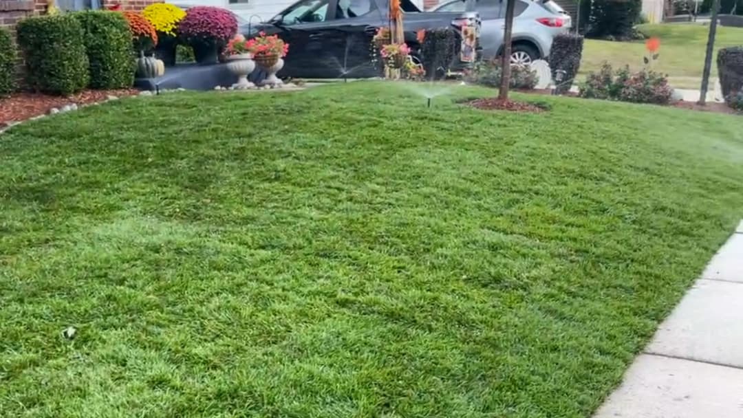 Lush green lawn with flower beds and a parked car in a suburban neighborhood.