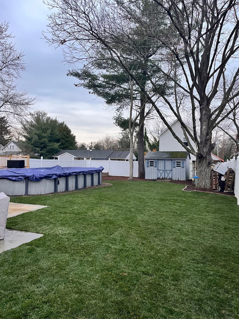 Backyard with pool cover, lush green lawn, trees, and a shed under a cloudy sky.
