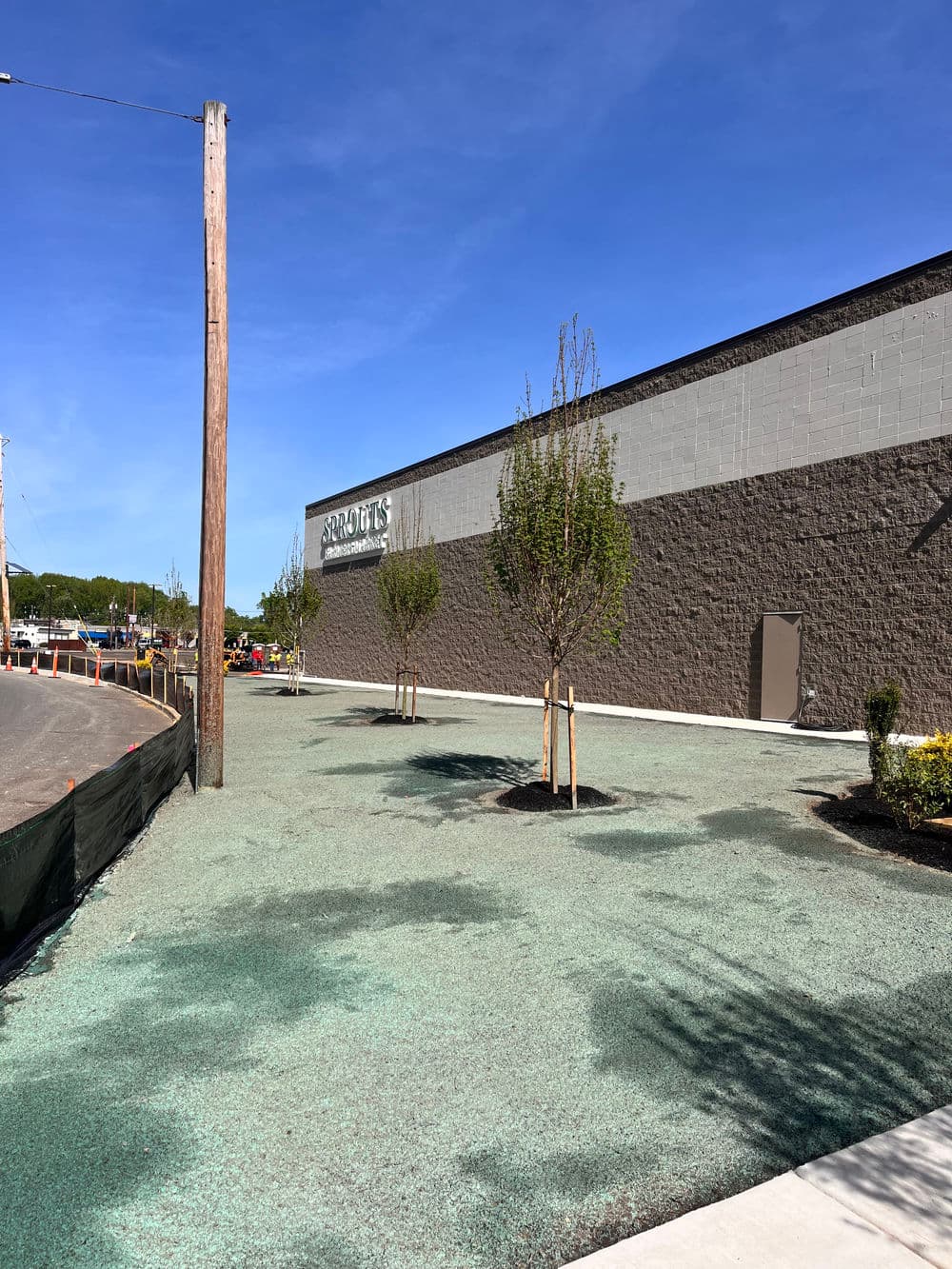 Green landscaping with young trees beside a modern grey building under a clear blue sky.